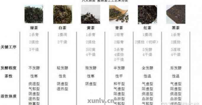 普洱茶品种的差别在哪儿：探究不同种类之间的差异