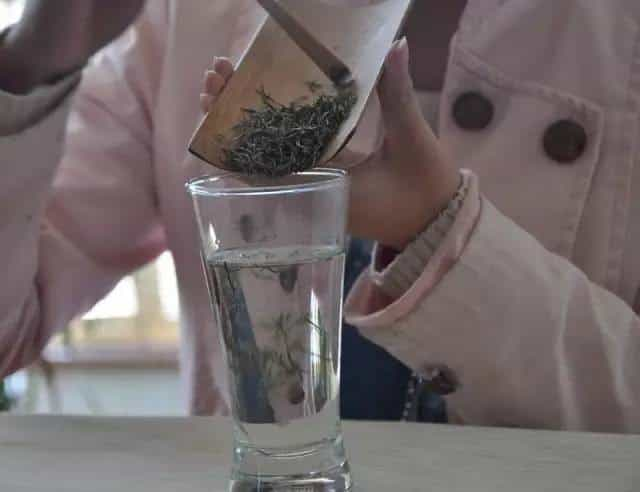 普洱茶冲泡比例与投茶量：150ml的合适度分析