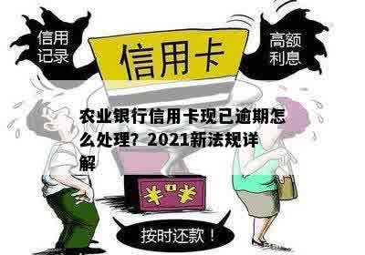 农行信用卡逾期怎么让它不自动扣款：2021新法规与还款攻略