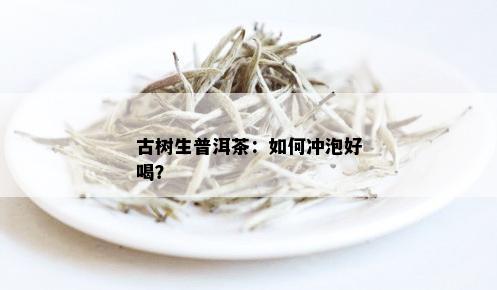 古树生普洱茶怎么泡得好