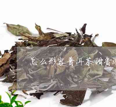 蜜韵普洱茶是什么意思呀