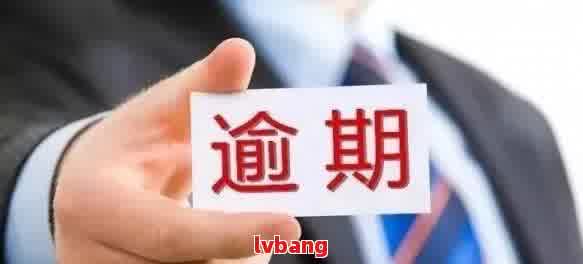 24小时过境逾期罚款多少元：解答逾期罚款相关问题