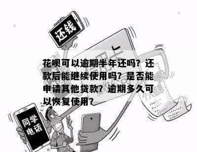 花呗逾期2年后还款，是否可以再次贷款？如何操作？