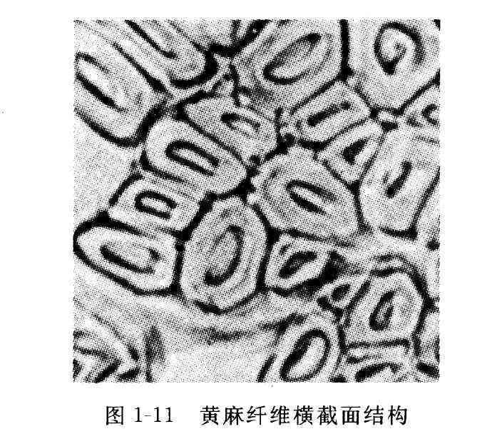 探究纤维交织结构对和田玉价值的影响：1克和田玉的价值是多少？