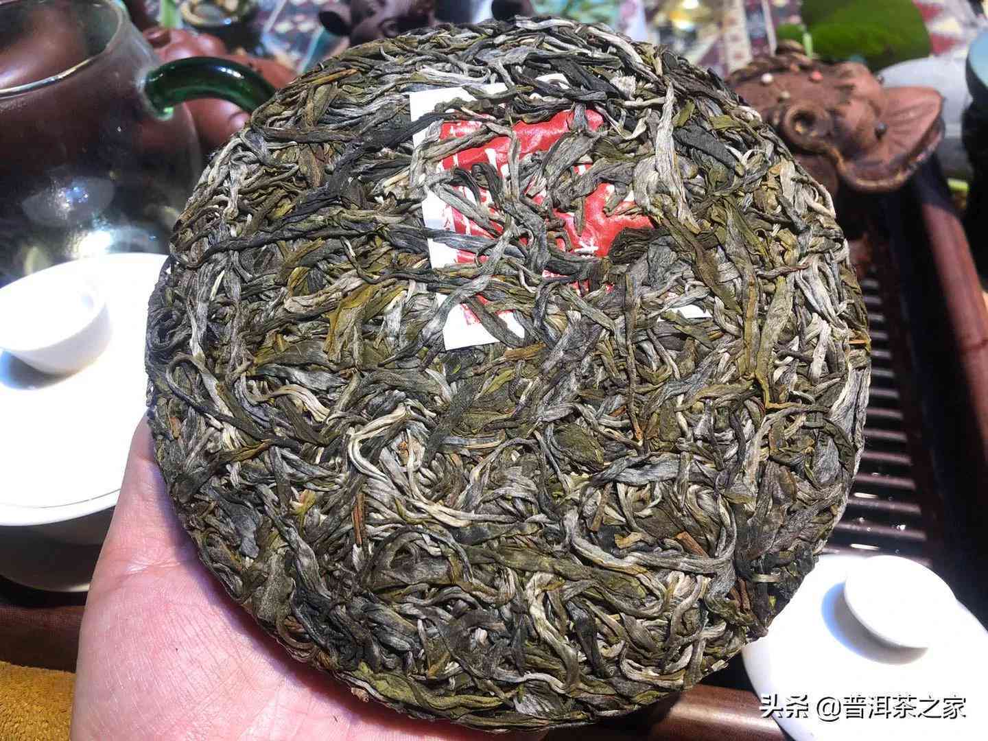 新 老挝古树普洱茶收藏指南 - 平台上的全方位价格解析