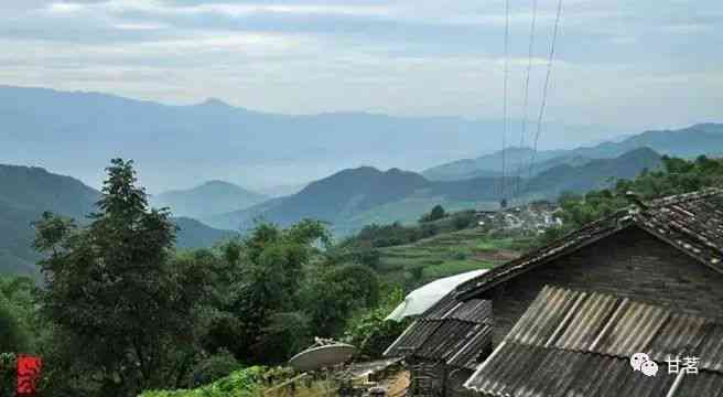 临沧空山普洱茶价格表