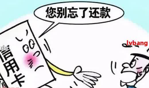 逾期还款后如何处理信用污点？全面指南解答您的疑问