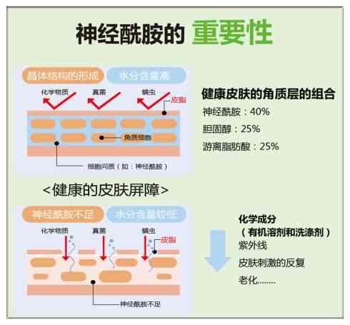 普洱茶的健益处：对抗脂肪肝的有效成分解析