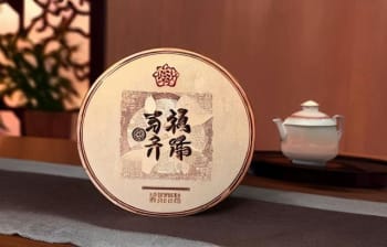 丹韵普洱茶饼价格：多少钱一斤？