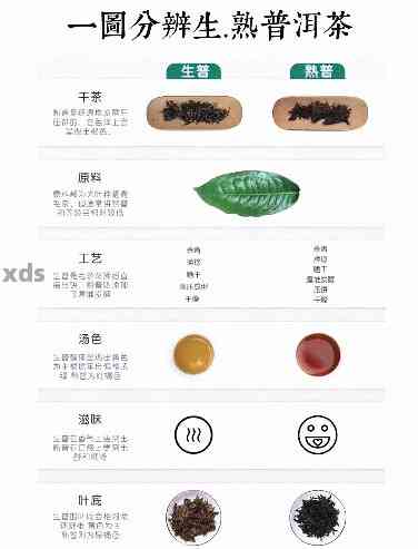 探究普洱茶的两种类型：熟茶与生茶，究竟哪个更胜一筹？