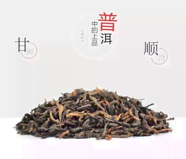 京东龙润茶茉莉青饼价格及图片，新款普洱茶生茶清香四溢