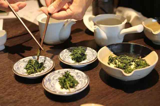 从绿茶到普洱茶：探寻两种茶的冲泡艺术与独特风味