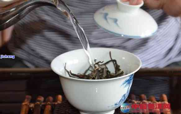 碗泡普洱茶的投茶量和比例：几克最适合？