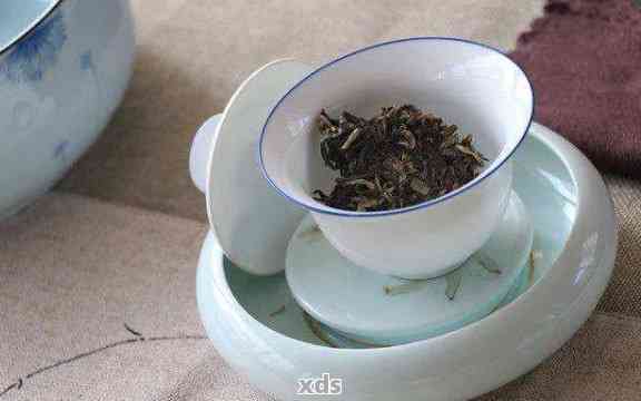 如何根据普洱茶的口感与品质调整碗泡法中的茶叶用量