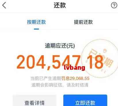 支付宝借呗逾期后如何协商还款，可以期支付嘛？