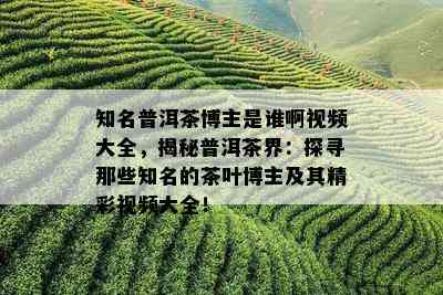 高端普洱茶博主有哪些名字与？顶级茶叶排行榜揭晓！