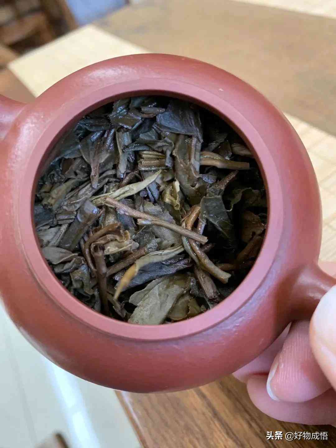 普洱茶哪种好？如何选择和购买普洱茶？