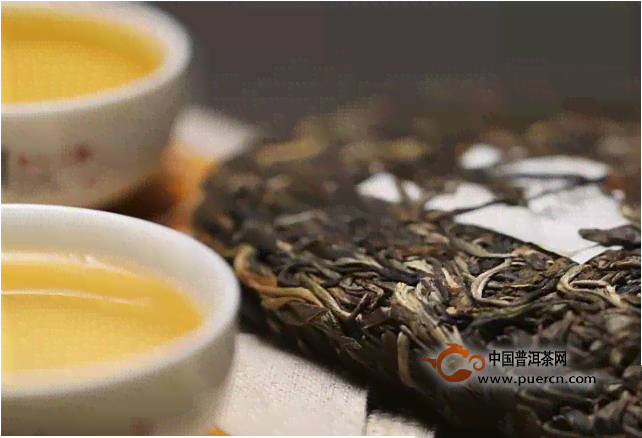 全面比较：普洱茶各大茶厂的茶叶品质与特点