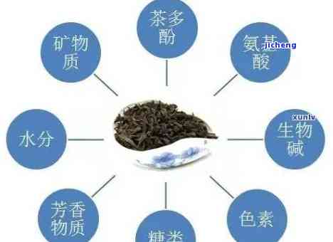 普洱茶精化：真相揭秘，喝了还会有害吗？