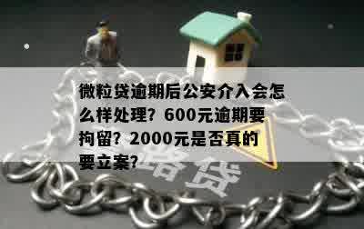 微粒贷逾期2000元，是否会立案并影响个人信用？如何解决逾期问题？