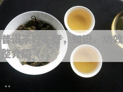 金芽普洱茶的全面功效与作用解析：解密其健益处、品饮技巧以及适用人群