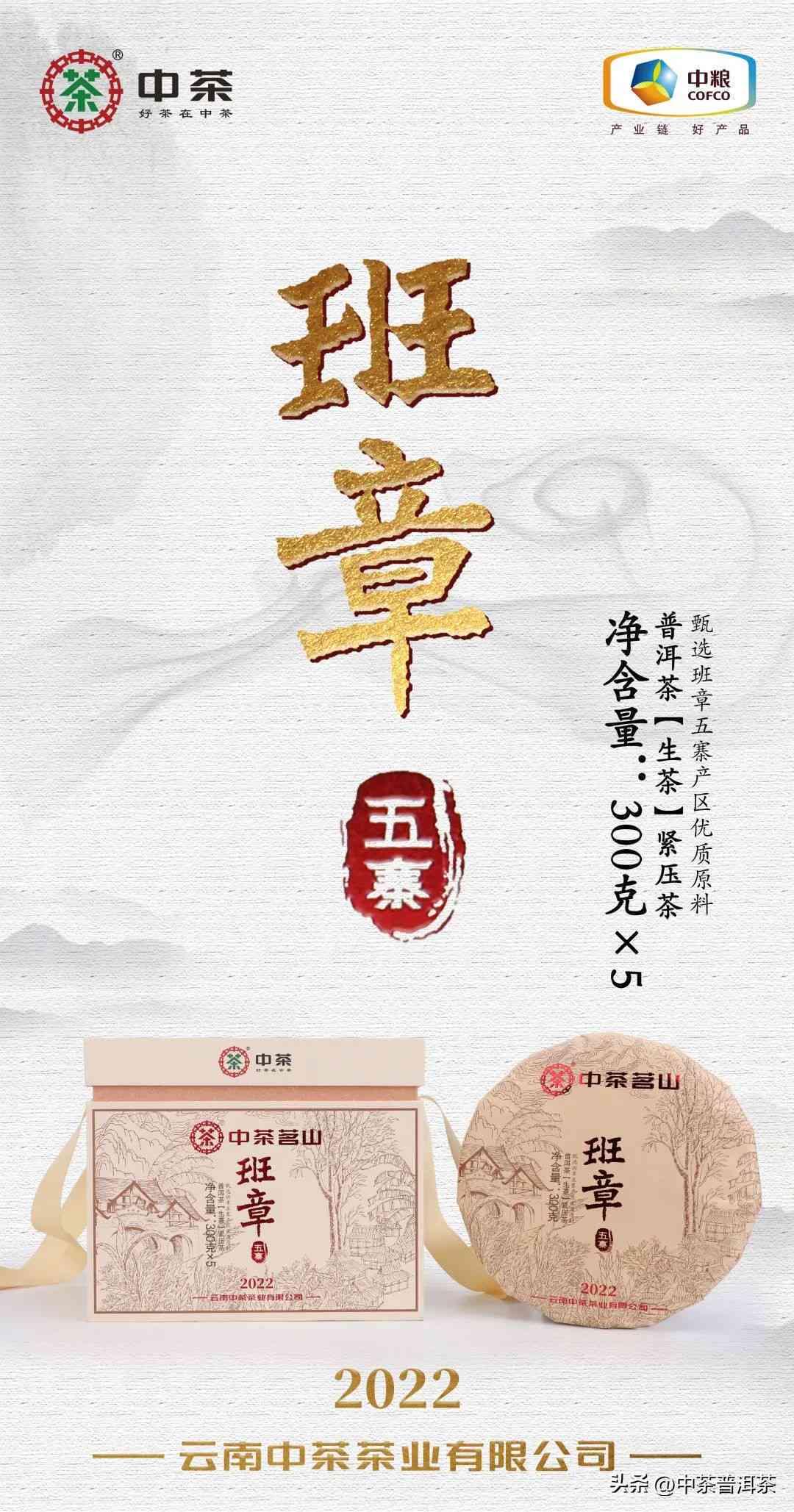 普洱茶生茶泡法：班章茶如何泡出的味道