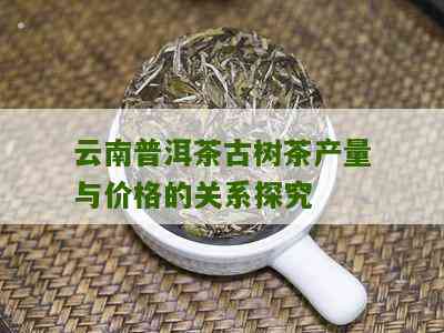 古树普洱茶珍品：独特产量与价值解析