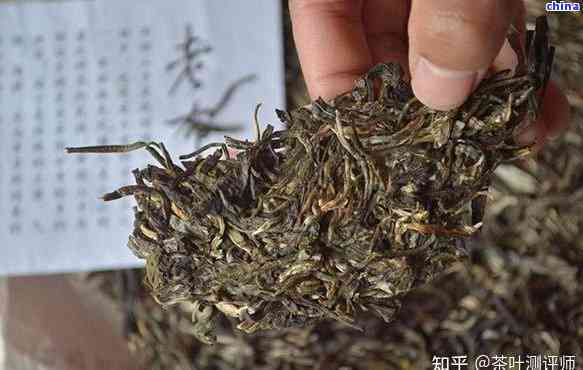 普洱茶十大散茶排名