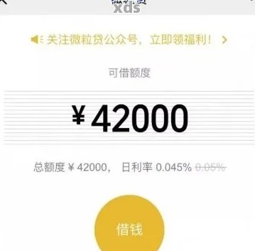 逾期2年的微粒贷3万债务如何处理和解决？