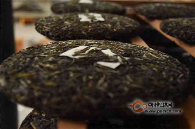 探究普洱茶的多元化饮用方式及其独特魅力