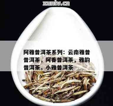 小娜的普洱茶是什么茶