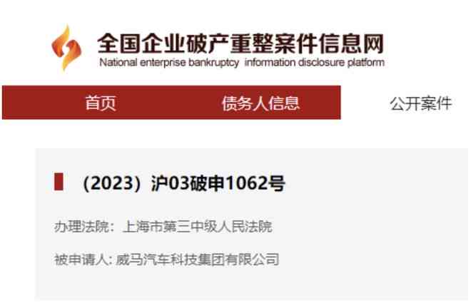 2023年全国有多少人负债逾期：全国负债逾期人数统计与预测