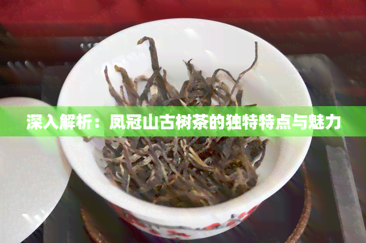 揭秘凤冠山古树茶的独特魅力和越品质