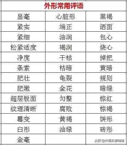 全面解析普洱茶真伪鉴别技巧的权威网站汇总