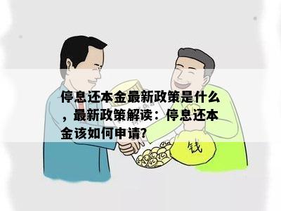 停息还本政策：条件与申请要求详解