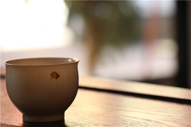 普洱茶存条件全面解析：度、湿度、通风与光照的影响及如何保持茶叶品质