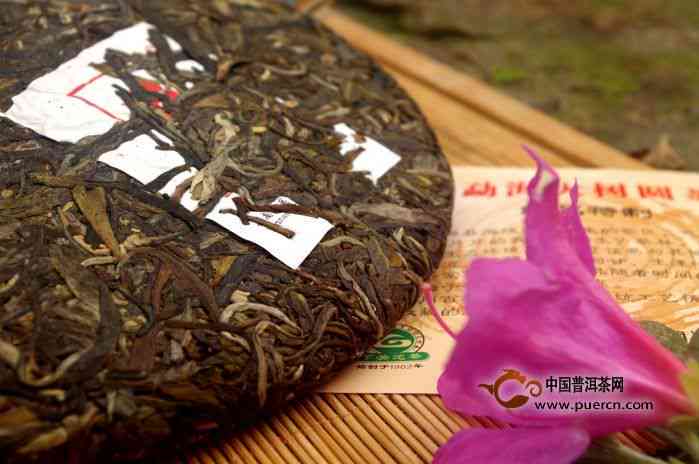 勐海大树茶属于什么茶？勐海大树茶的茶种、茶型，口感和价格如何？