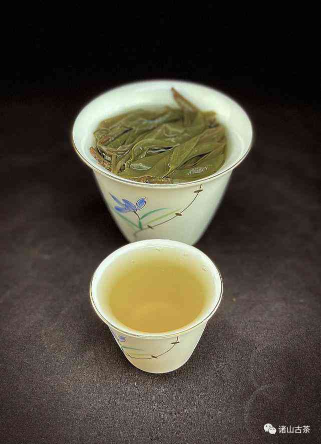 冰岛独特土孕育的普洱茶：品鉴其独特风味与魅力