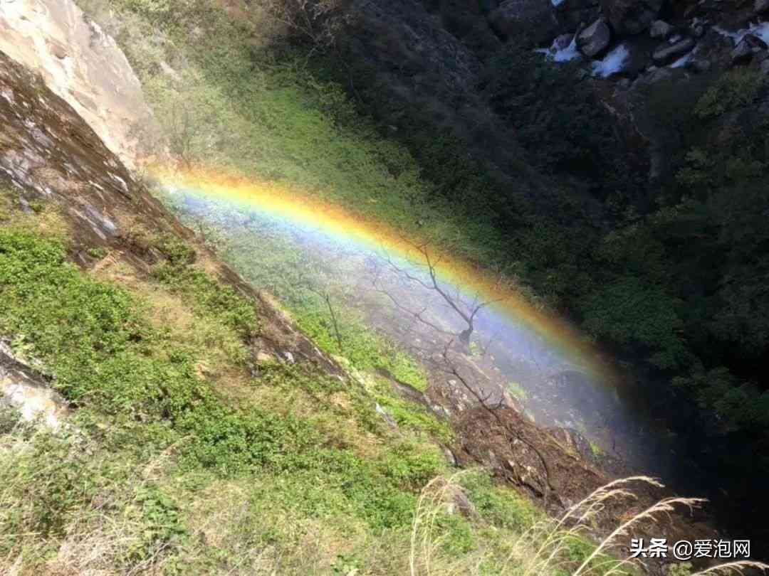      普洱茶品质、功效与冲泡方法全面解析，让你深入了解这种独特茶饮的魅力