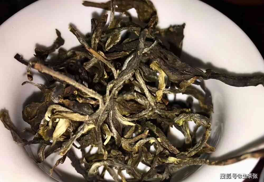      特色普洱茶有哪些