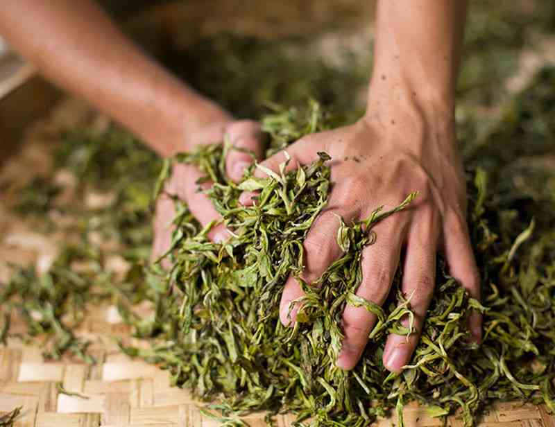 云南易江号茶业：从茶叶种植到品质保证，一站式解答您的疑问与需求