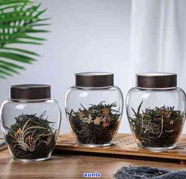 玻璃茶罐放普洱茶好不好：普洱茶是否适合放入玻璃茶罐保存？