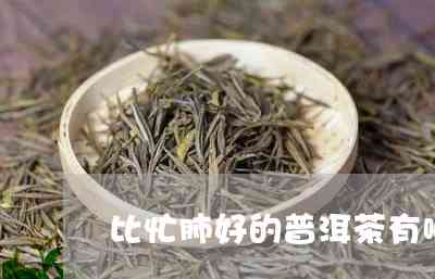 忙肺普洱茶喝哪个