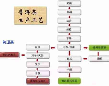 特型普洱茶制作工艺流程