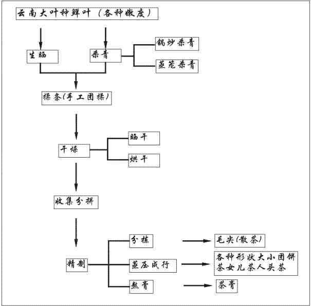 特型普洱茶制作工艺流程