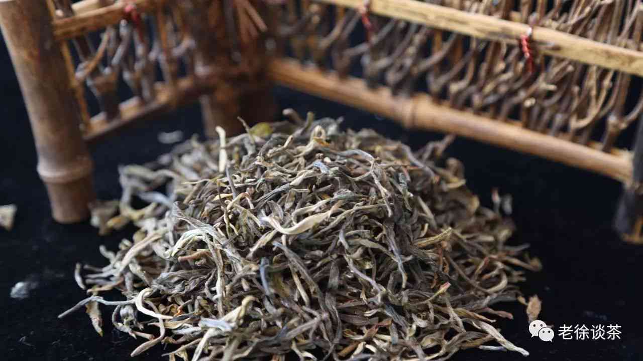 小荒田古树普洱茶：独特魅力的口感与特点探究