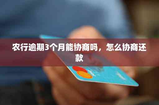 农行信用卡协商还款成功攻略：详细步骤、遇到的问题及解决方法一文解析