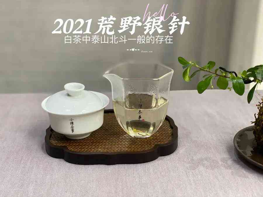 宫廷普洱茶老白茶口感怎么样，好喝吗？价格多少，一盒多少钱？