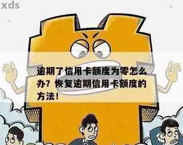 信用卡还款额逐月减少该如何应对？这里提供全面解决方案！