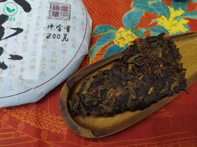 哪里买普洱茶好一点